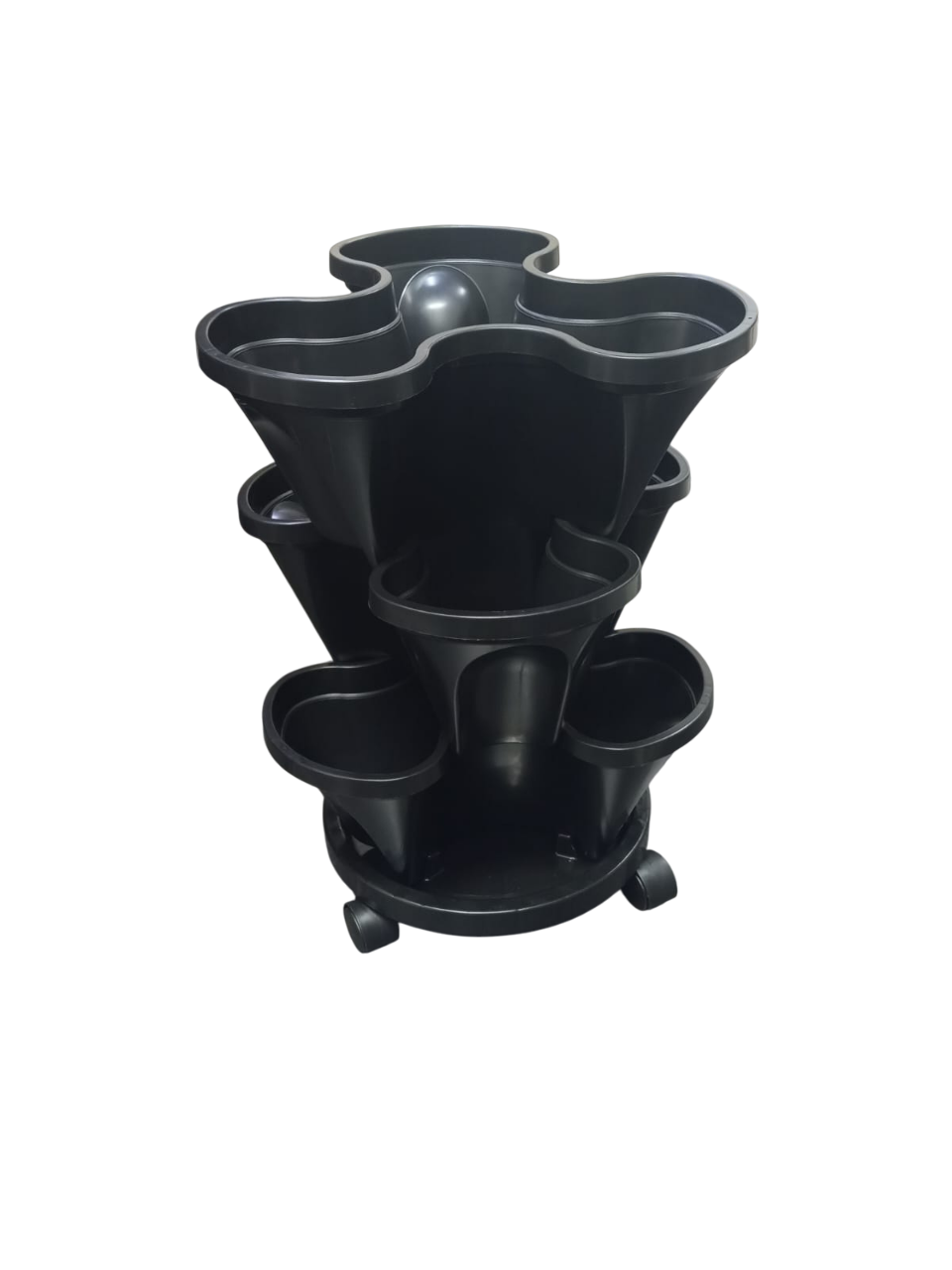 whatsapp image 2025 07 30 at 14 31 13 photoroom